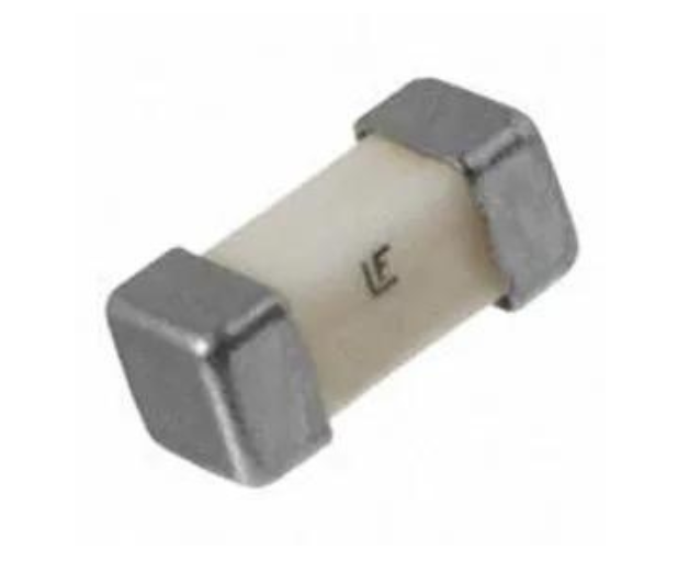 Printhead Fuse - 1.6A, 125V Quick Blow Fuse for DX4 Printers